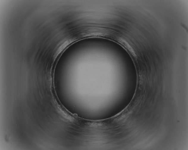 X0000093110890200709261248