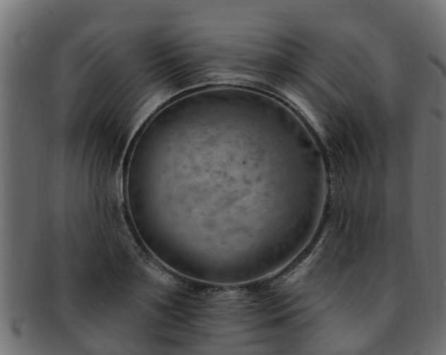X0000093110891200709261248