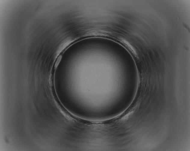 X0000093110893200709261248