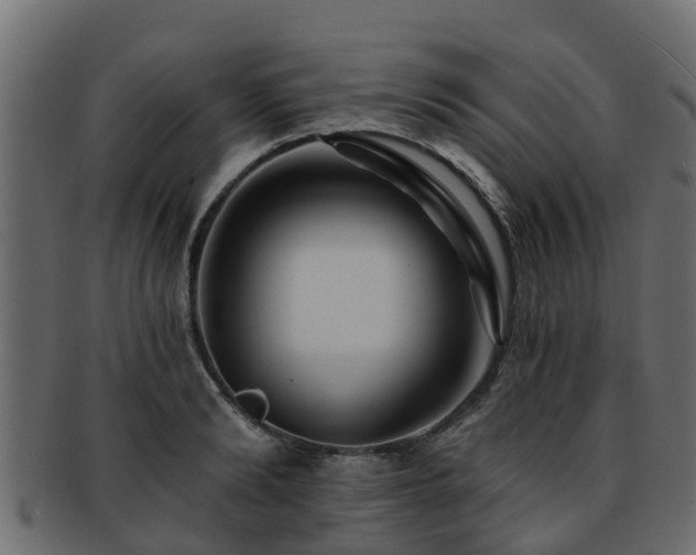 X0000093110894200709261248