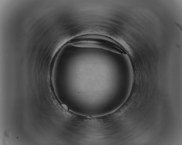 X0000093110896200709261248