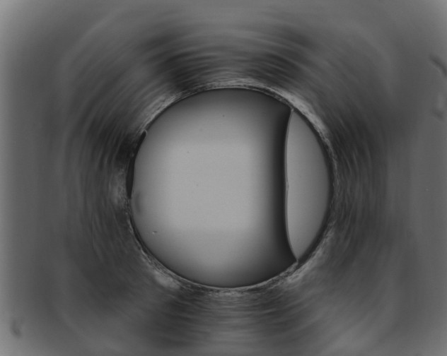 X0000093110897200709261248