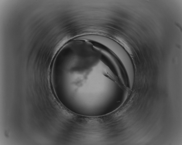 X0000093110899200709261248