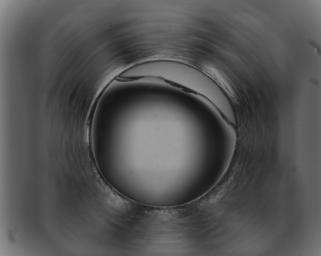 X0000093110900200709261248