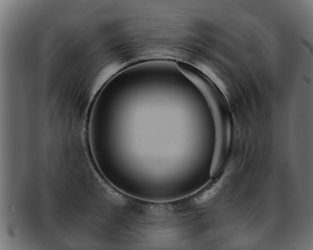 X0000093110901200709261248