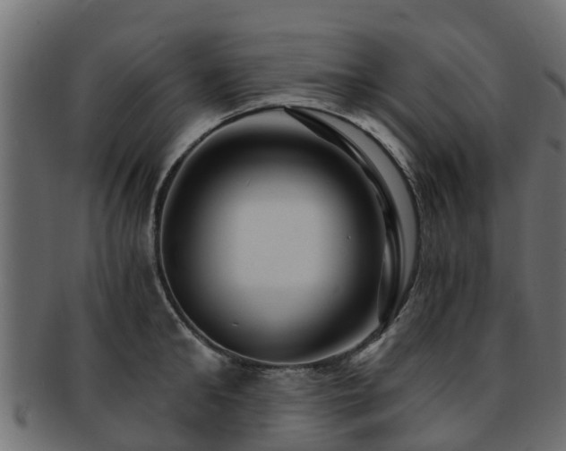 X0000093110902200709261248