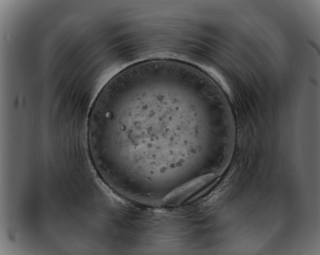 X0000093110903200709261248