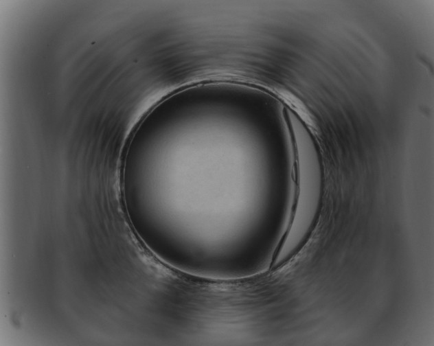 X0000093110904200709261248