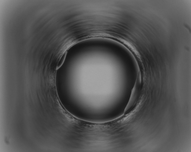 X0000093110905200709261248