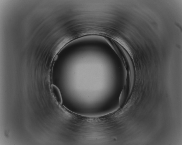 X0000093110906200709261248