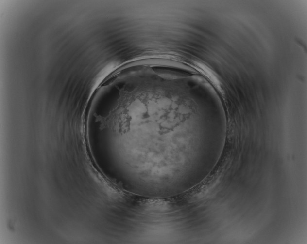 X0000093110907200709261248