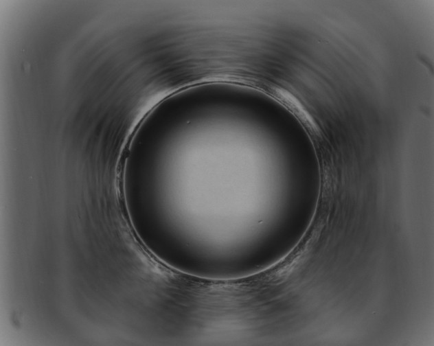 X0000093110908200709261248