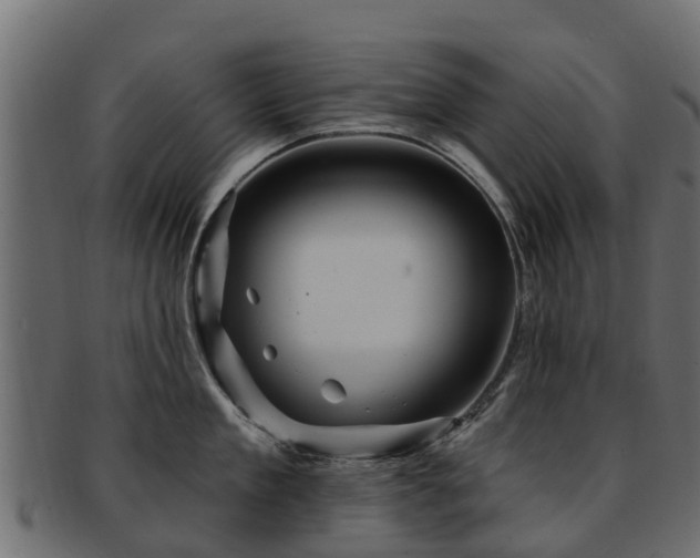 X0000093110909200709261248