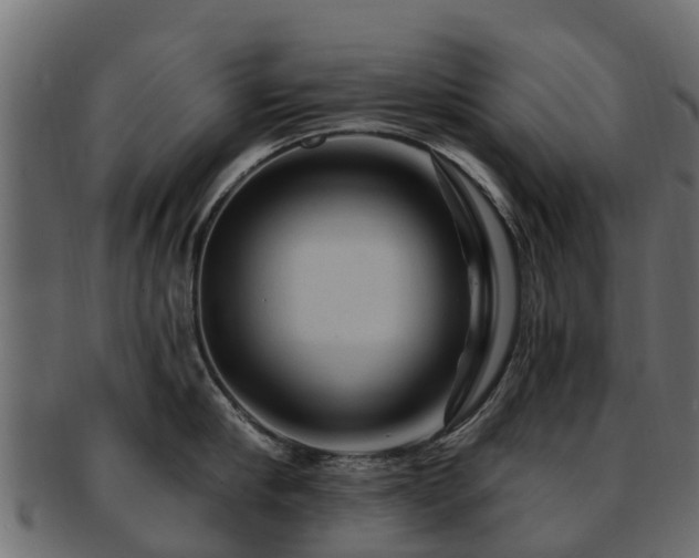 X0000093110910200709261248