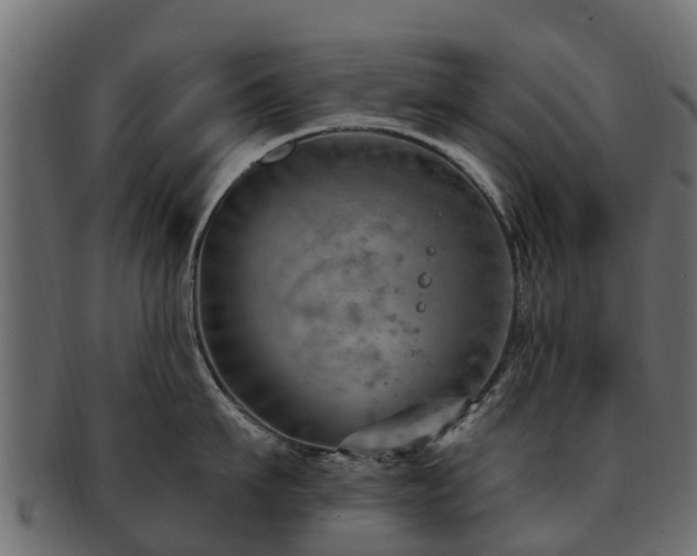 X0000093110911200709261248