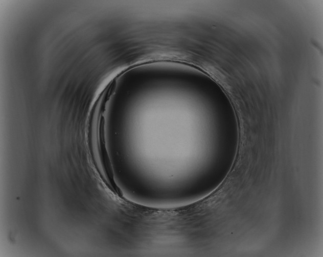 X0000093110912200709261248