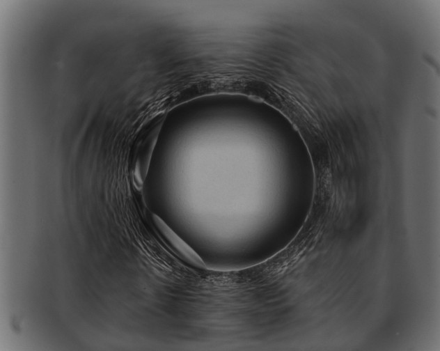X0000093110914200709261247