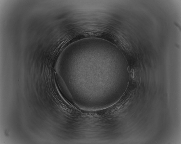 X0000093110915200709261247