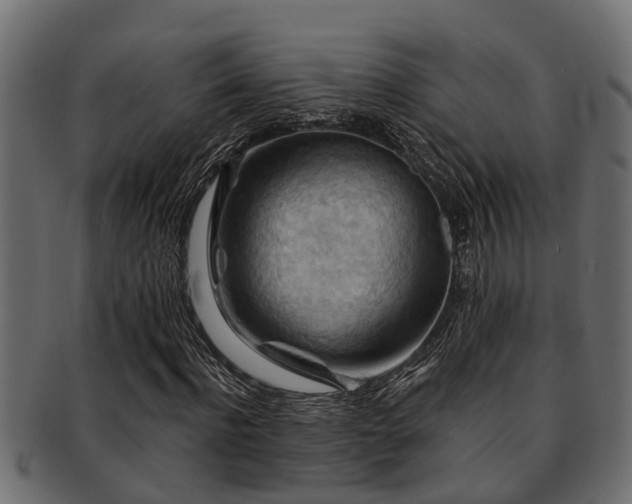 X0000093110916200709261247