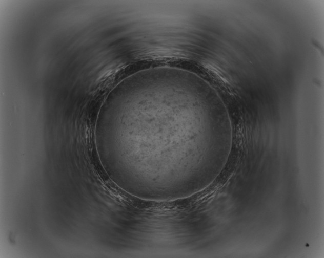 X0000093110917200709261247