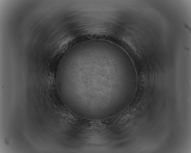 X0000093110918200709261247