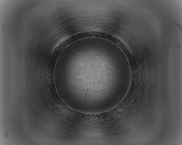 X0000093110919200709261247