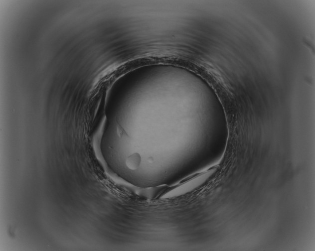 X0000093110920200709261247