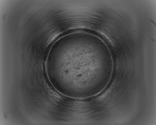 X0000093110921200709261247