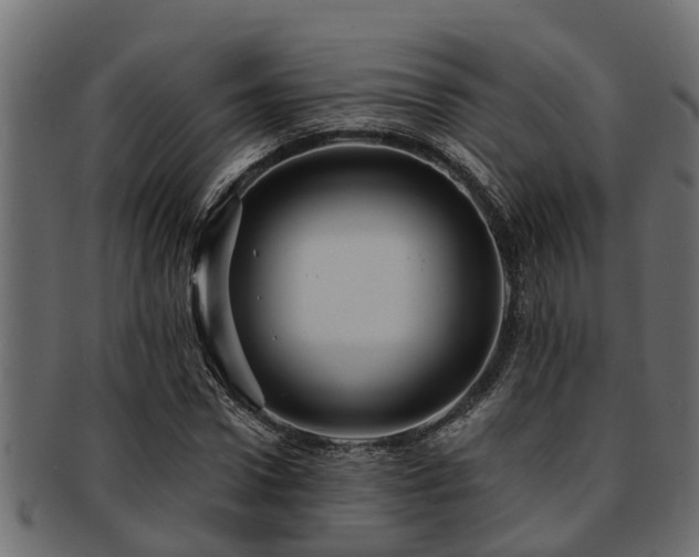 X0000093110922200709261247