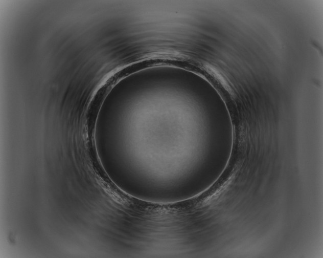 X0000093110923200709261247