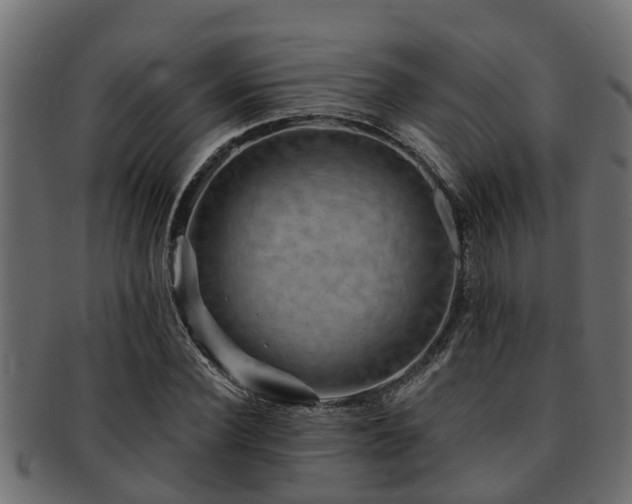 X0000093110924200709261247