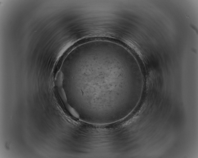 X0000093110925200709261247