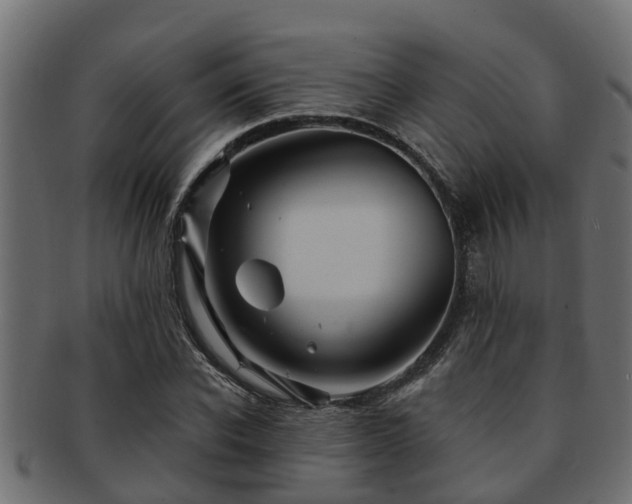 X0000093110926200709261247