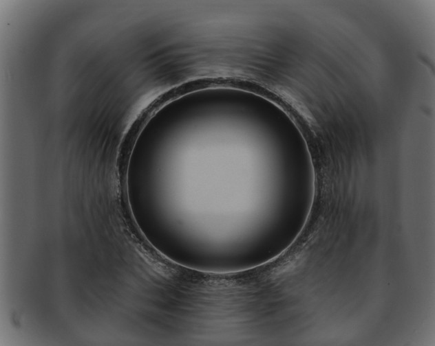 X0000093110927200709261247