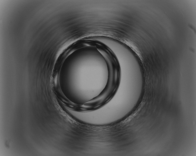 X0000093110928200709261247