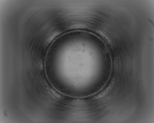 X0000093110929200709261247
