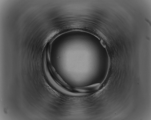 X0000093110930200709261247