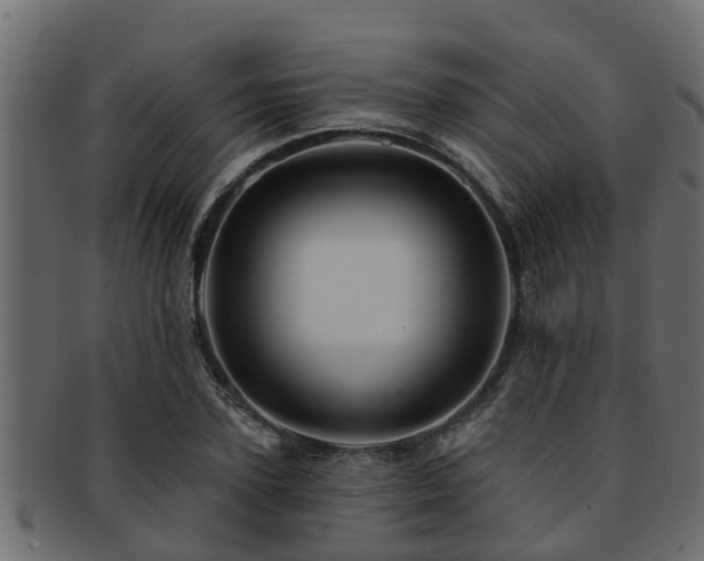 X0000093110931200709261247