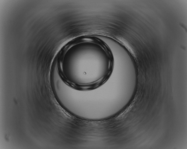 X0000093110932200709261247