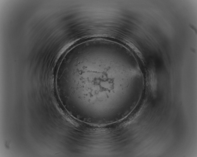 X0000093110933200709261247