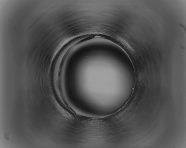 X0000093110934200709261247