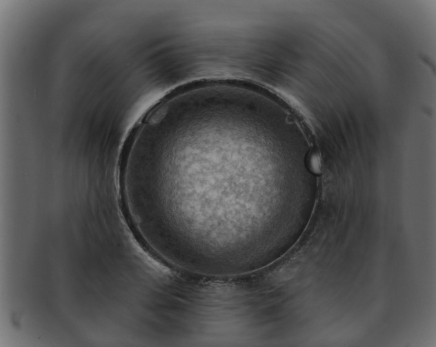 X0000093110935200709261247