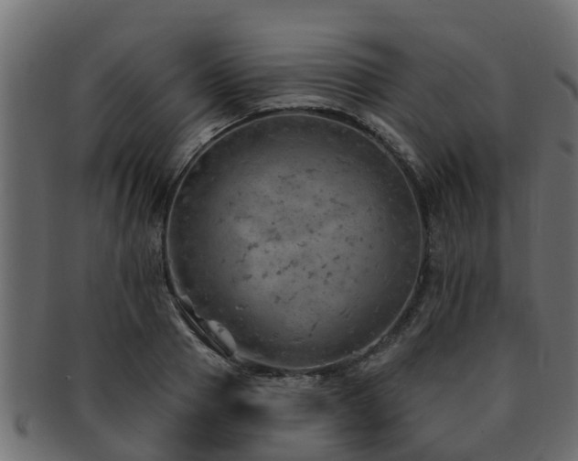 X0000093110937200709261247