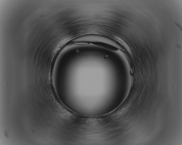 X0000093110938200709261247