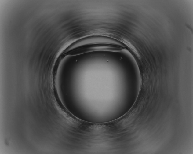 X0000093110939200709261247