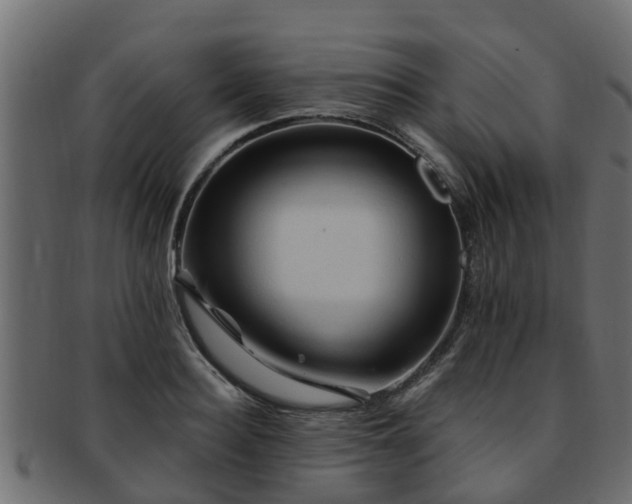 X0000093110940200709261247