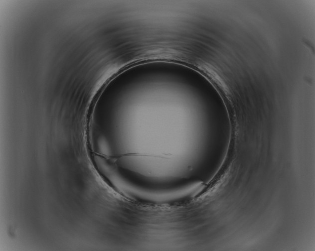 X0000093110941200709261247