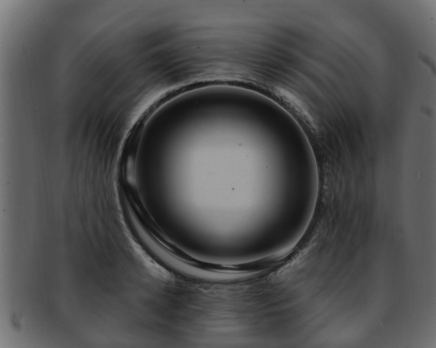 X0000093110942200709261247