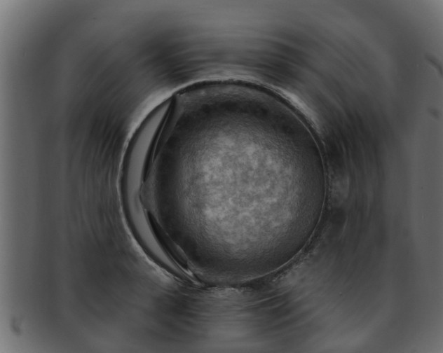 X0000093110943200709261247