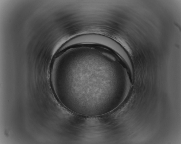X0000093110944200709261247